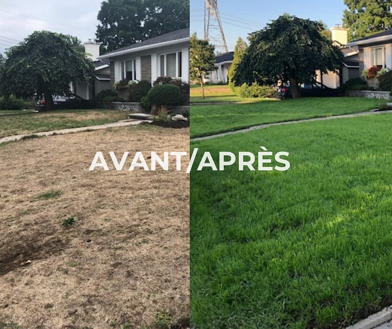 Nettoyage d'allée et désherbage 78