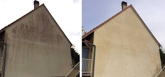 Nettoyage d'allée et dallage extérieur 78