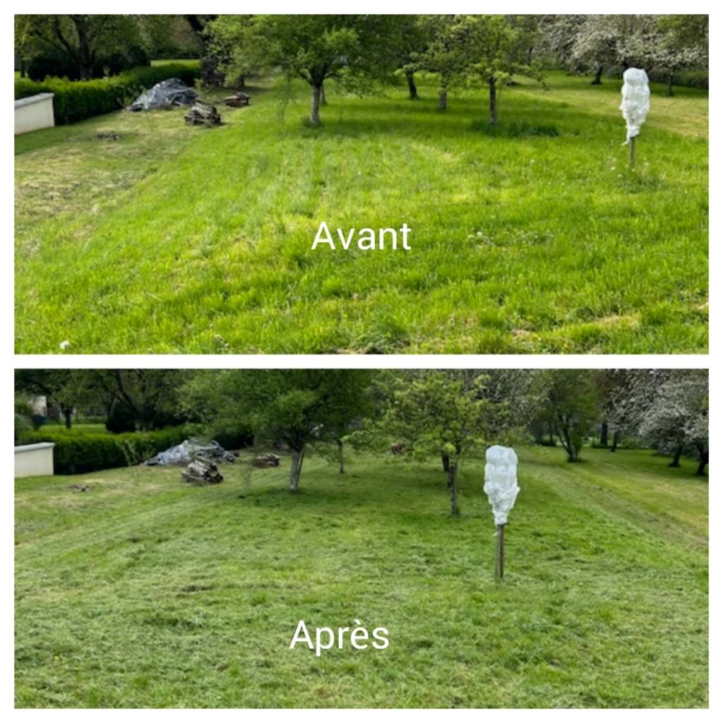 Tonte de pelouse impeccable à Poissy